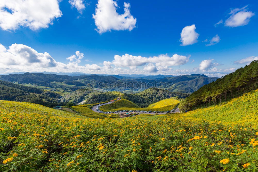 Similar – Image, Stock Photo teatime Vacation & Travel
