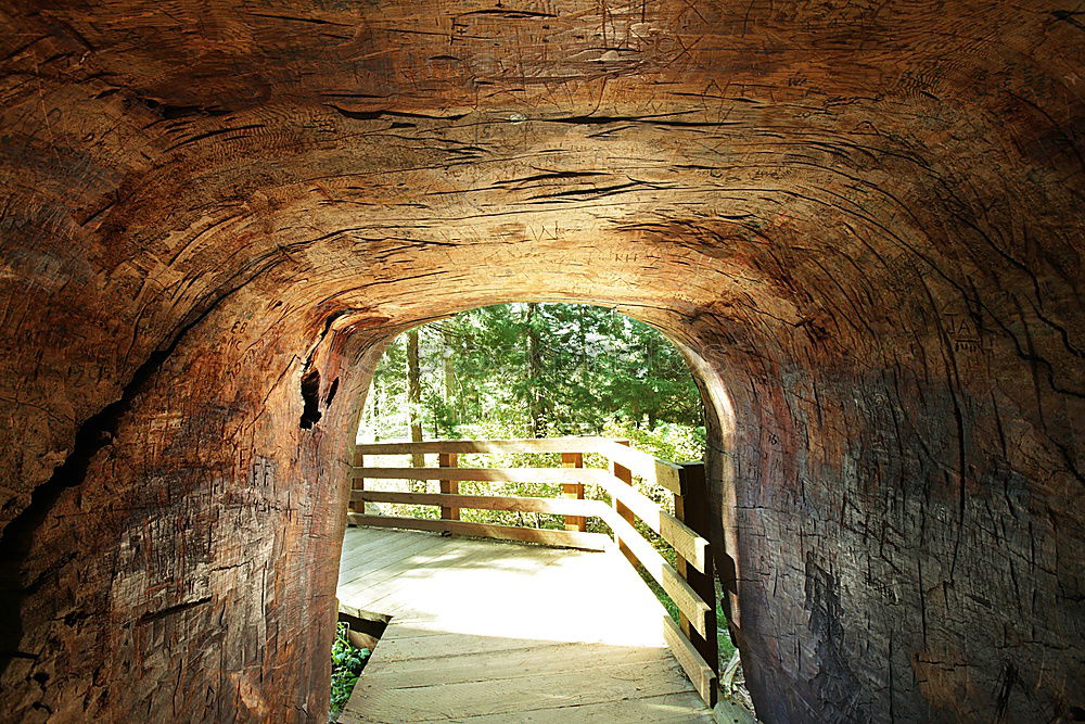 Similar – Dark lane Alley