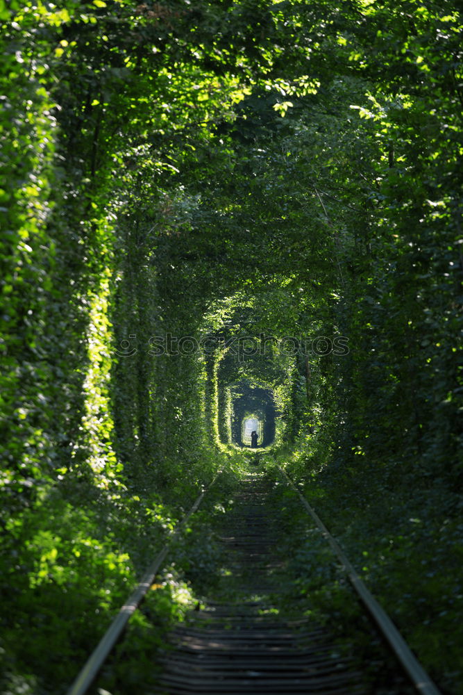 Similar – Cellar Door Garden