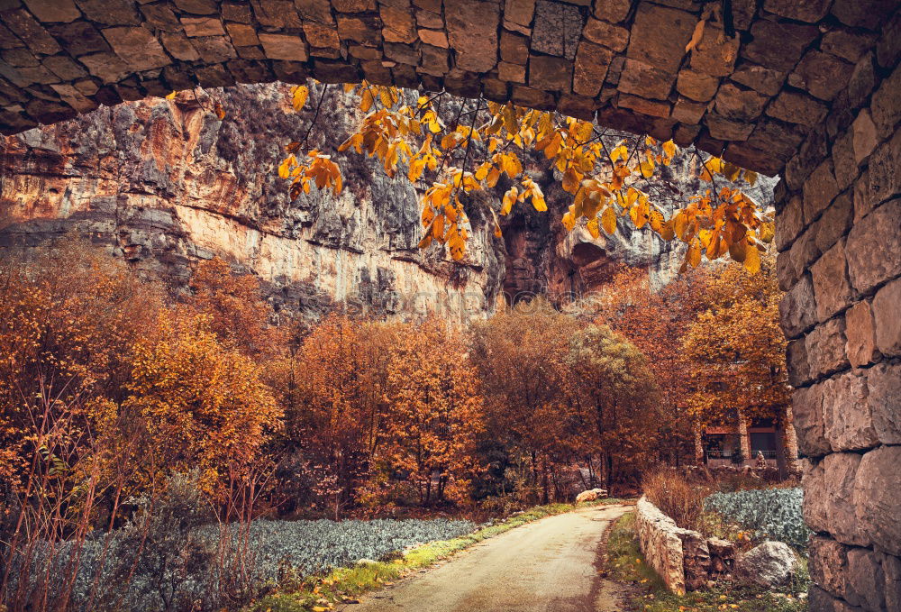 Similar – An autumnal field with some trees and a steep hill in the background