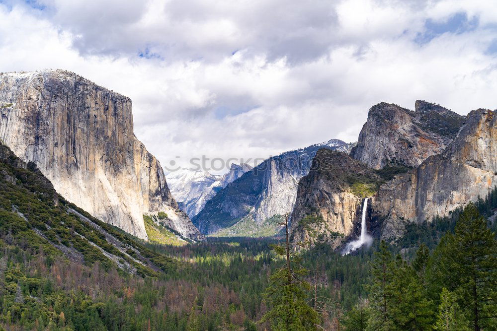 Similar – Image, Stock Photo Vernal Case Contentment