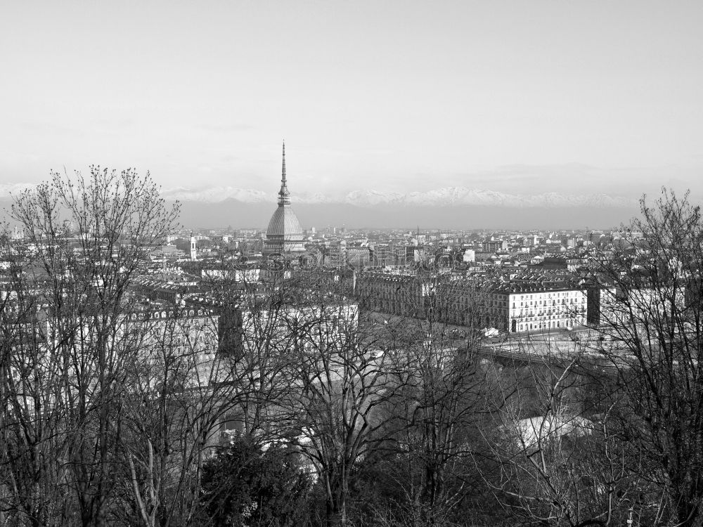 Similar – Image, Stock Photo View from Kreuzberg over Kreuzberg