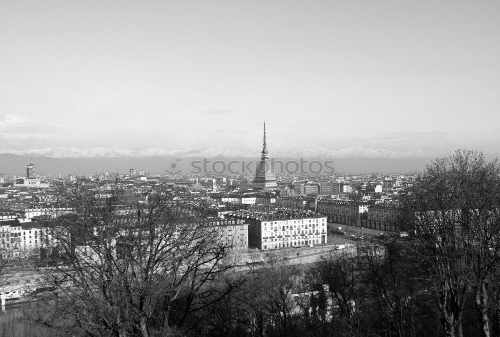 Similar – Image, Stock Photo peek over the city Sky