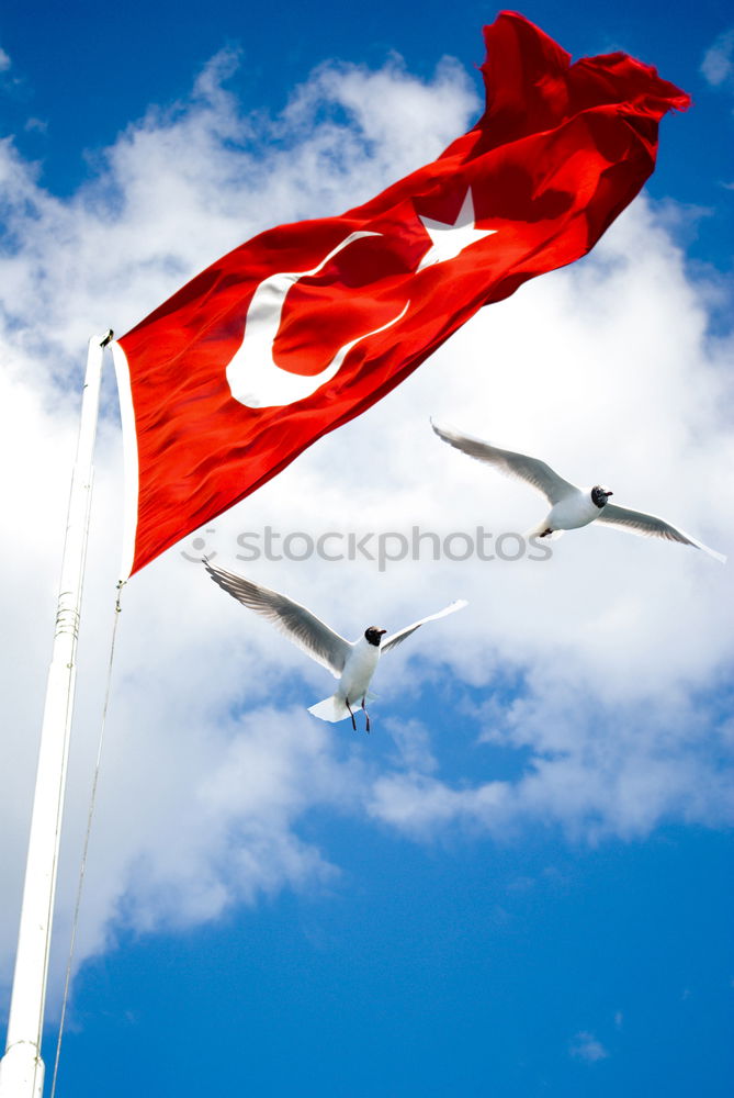 Similar – Image, Stock Photo View of Istanbul from the ferry with a flag in the wind