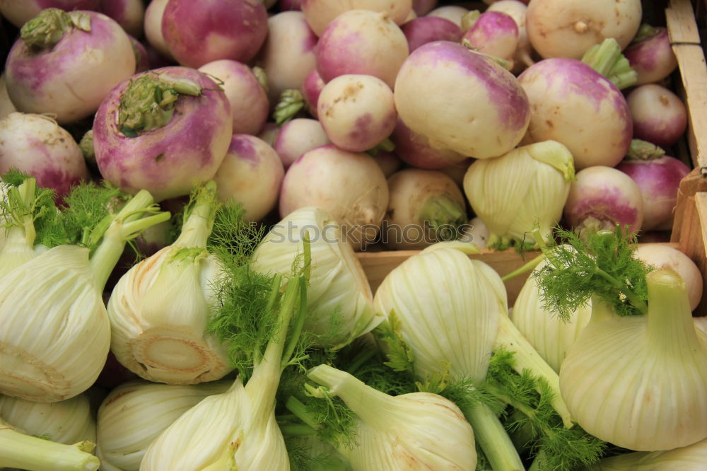 Similar – Image, Stock Photo rhubarb Rhubarb Red