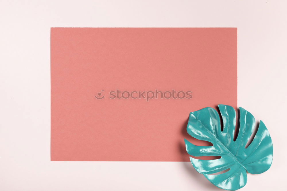 Similar – pink gift ribbon Paper