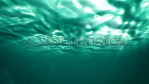 Similar – Image, Stock Photo underwater Air Air bubble