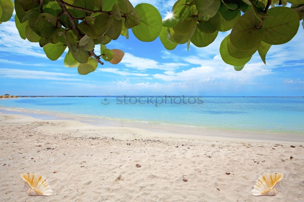 Similar – Maldives island luxury resort wooden pier