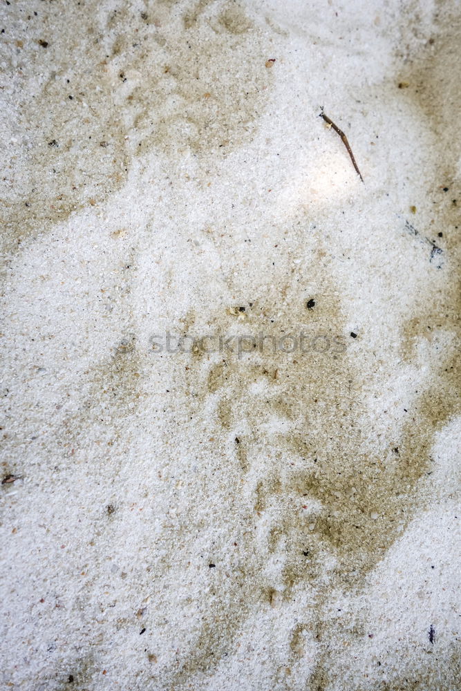 Similar – Foto Bild Das knirscht! Strand Meer