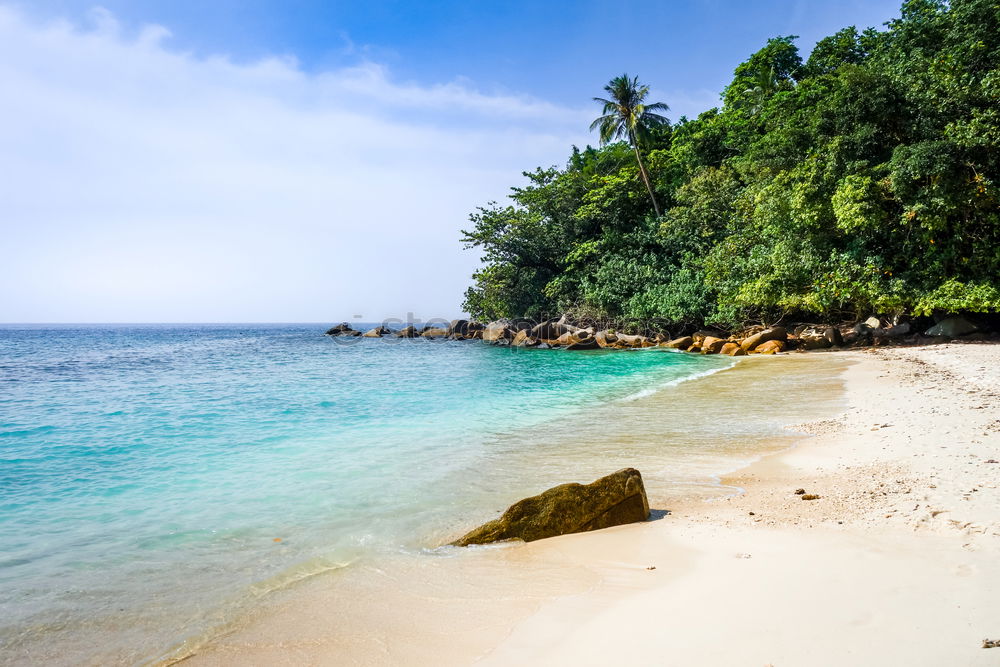 Similar – Beach in New Zealand