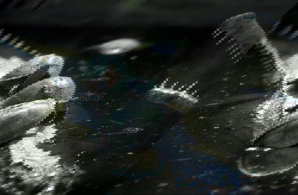 Similar – Image, Stock Photo HH08.3
