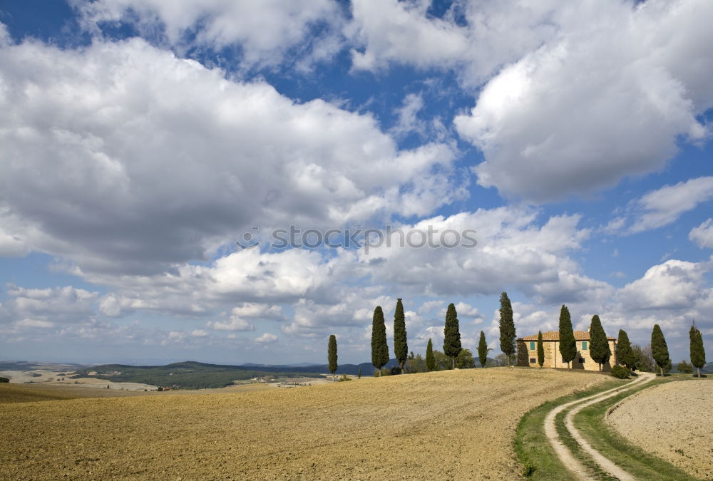 Similar – Image, Stock Photo along the road Environment