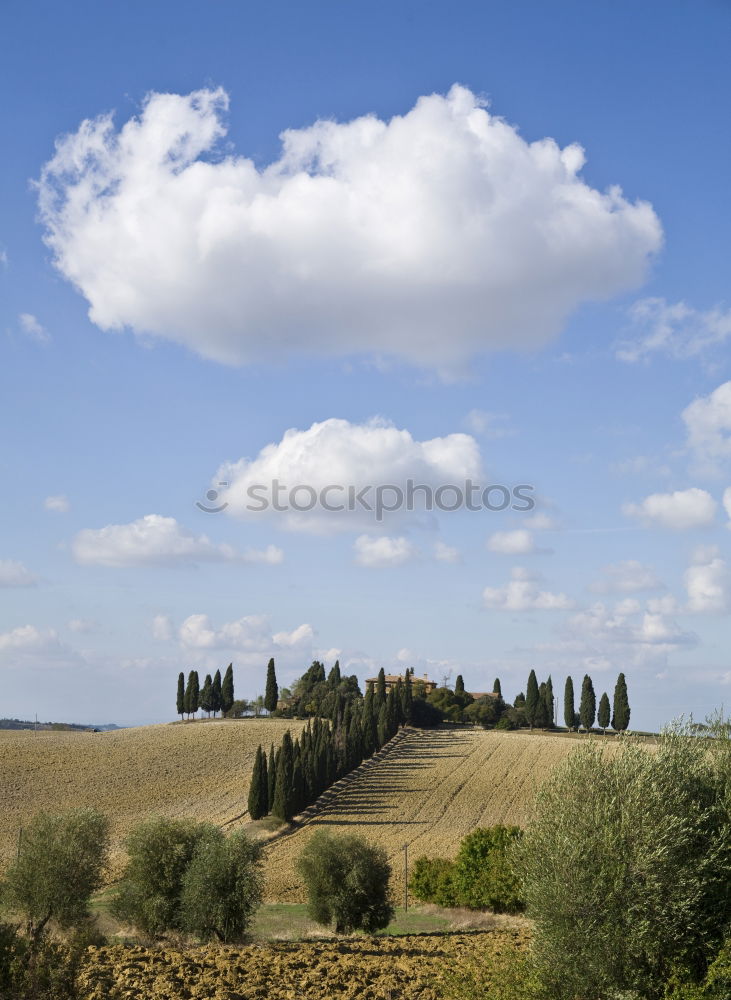 Similar – Image, Stock Photo Come home at the end of the day.