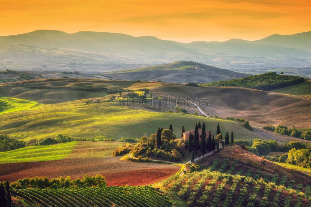 Similar – Tuscan olive trees and fields in the near farms, Italy