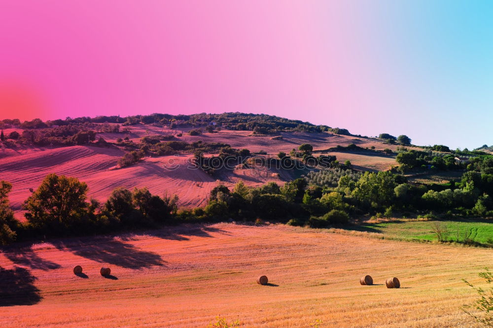 Similar – Image, Stock Photo Beautiful fields, hills of Tuscany, Italy