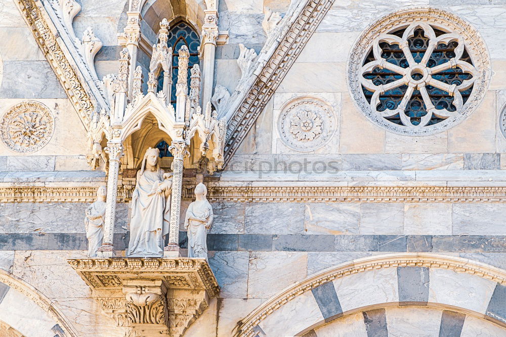 Similar – Image, Stock Photo Close-up detail of Rome city, Italy