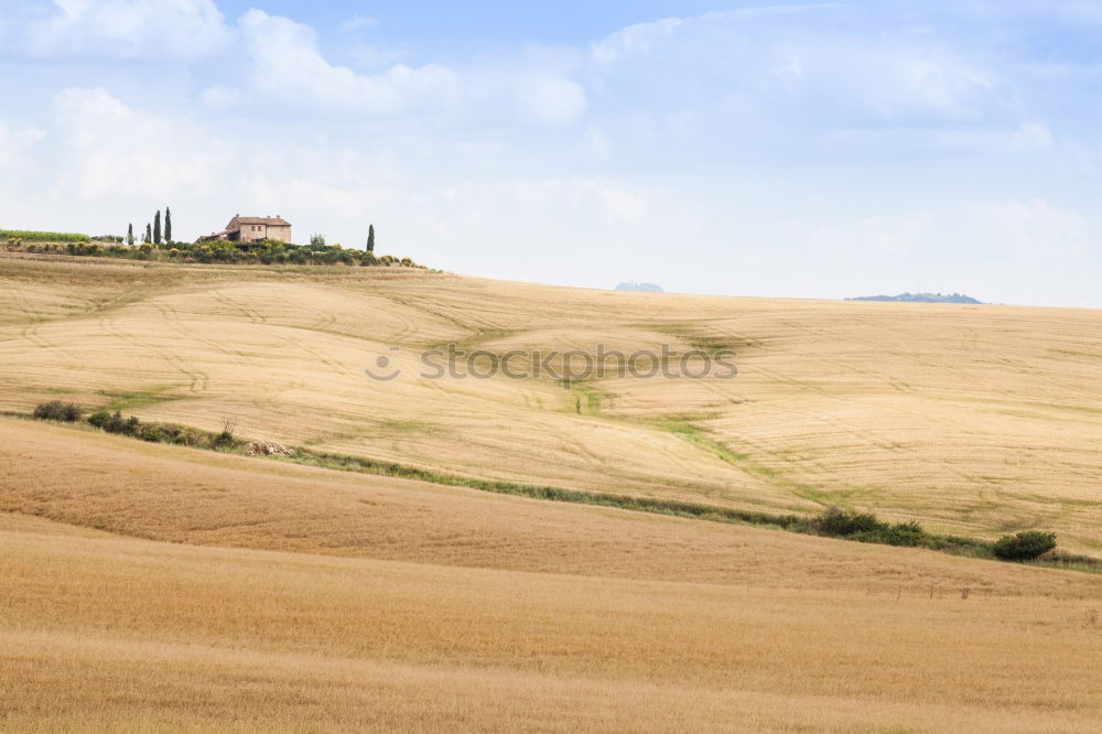 Similar – sunset Nature Landscape