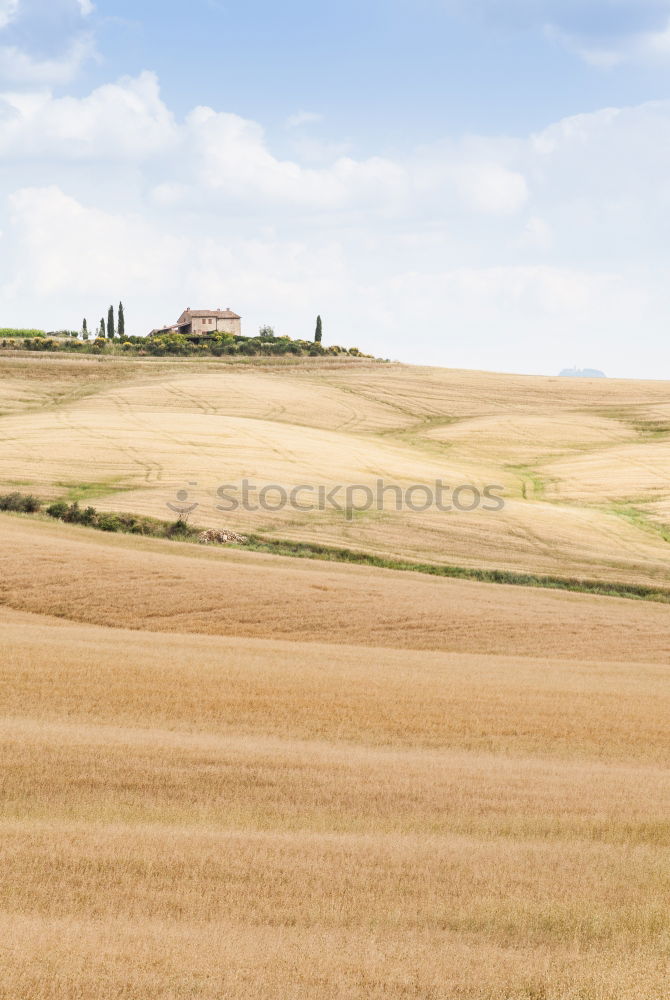 Similar – Image, Stock Photo midsummer Landscape