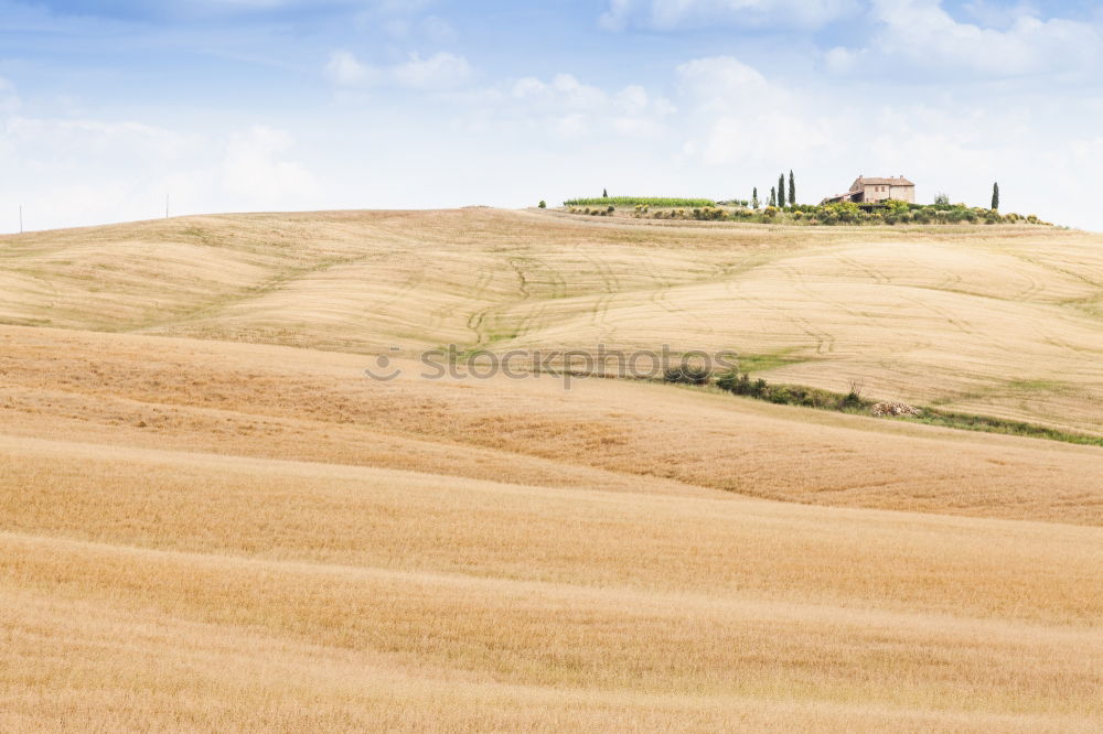 Image, Stock Photo Tuscany Harmonious Calm