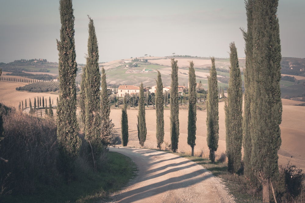 Similar – Val d’Orcia, Tuscany, Italy