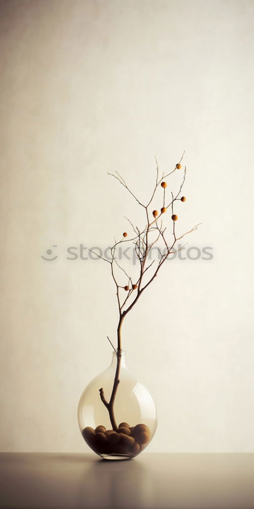 Similar – Image, Stock Photo autumnal winter Sign