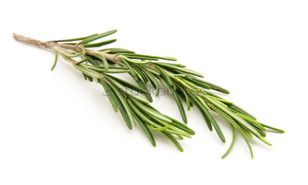 Similar – Image, Stock Photo Rosemary and red chilli