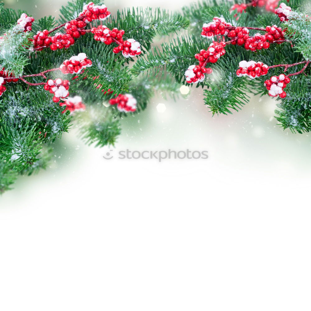 Similar – christmas decoration holly