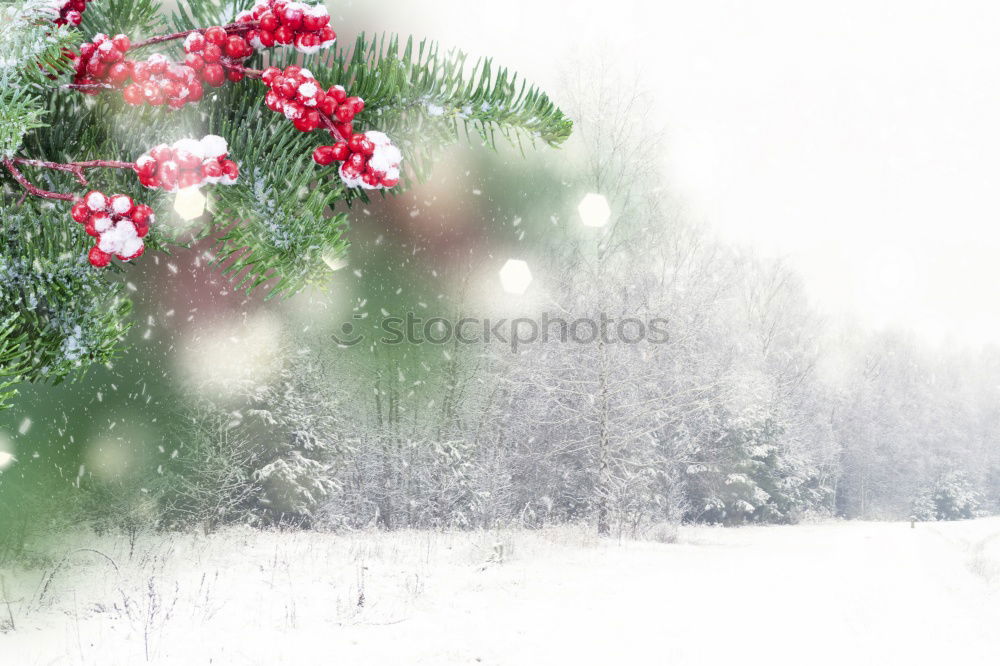 Similar – Image, Stock Photo Advent with the Seven Dwarfs