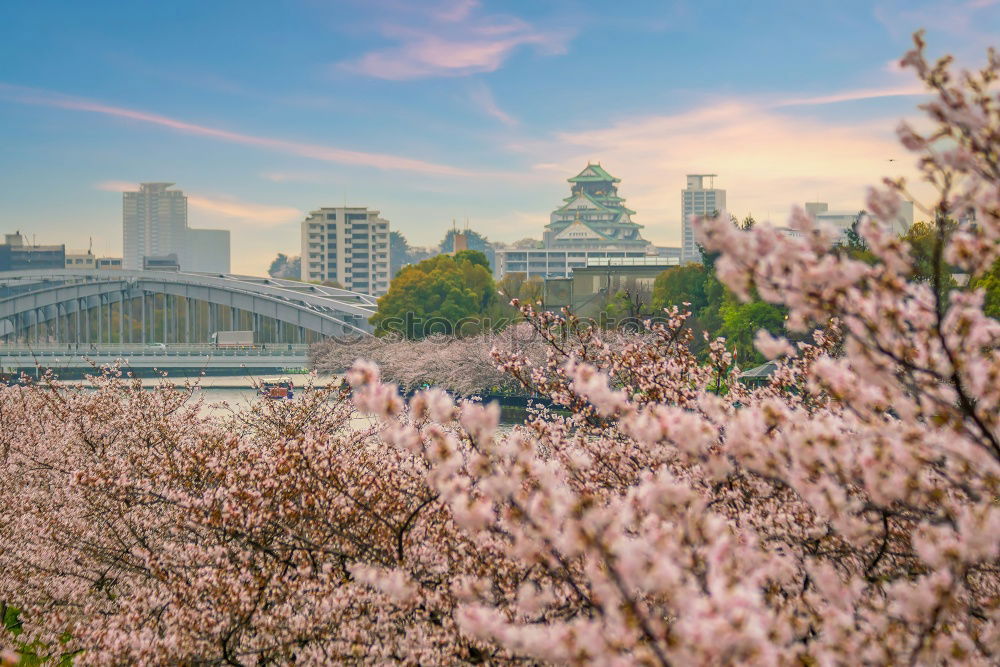 Similar – Image, Stock Photo #A# Dresden Spring II Art