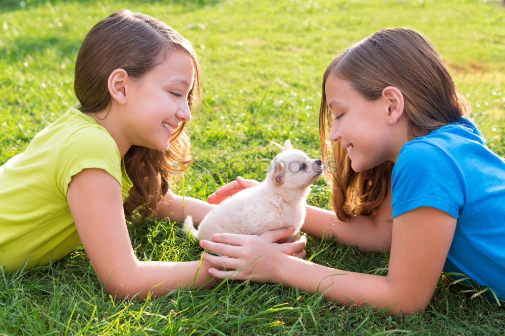 Similar – Image, Stock Photo Little girl looking a goat on the grass