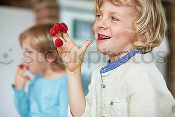 Child nibbles raspberries from his fingers