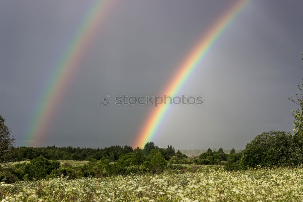 Similar – Image, Stock Photo A double rainbow Nature