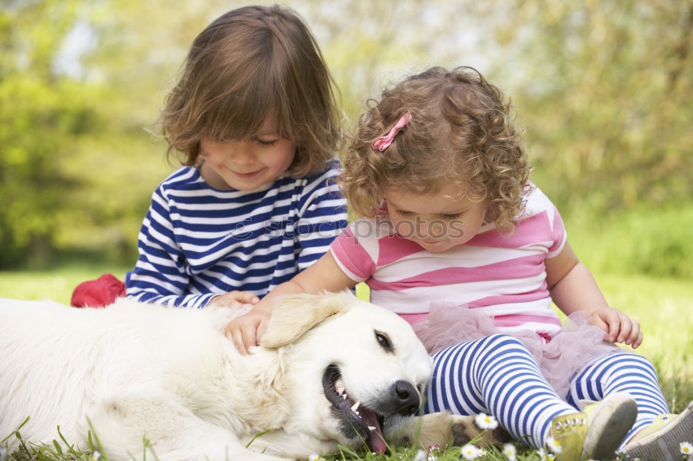 Similar – Image, Stock Photo Little girl looking a goat on the grass