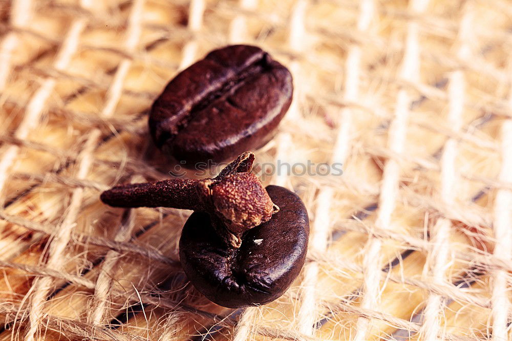 Similar – Image, Stock Photo Small breakfast eggs Food