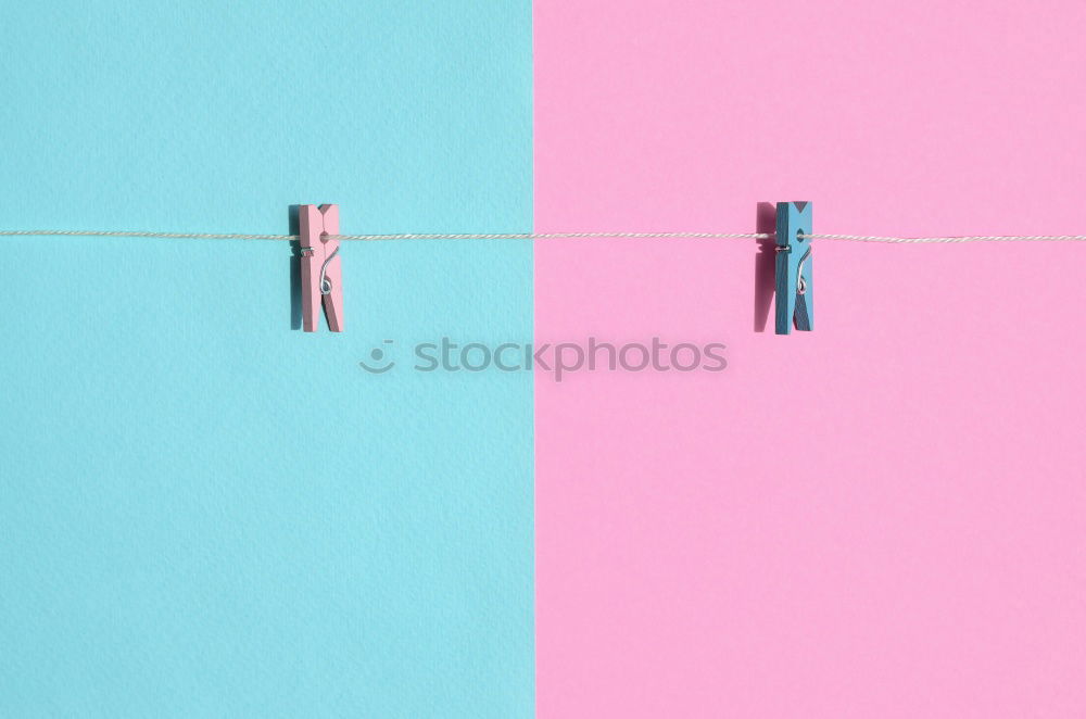 Similar – Image, Stock Photo white feather on blue and pink background