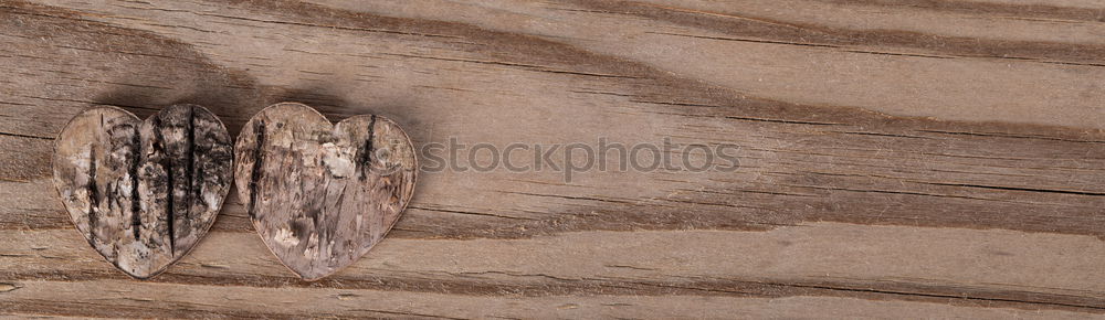 Similar – Image, Stock Photo Autumn of life Tree bark