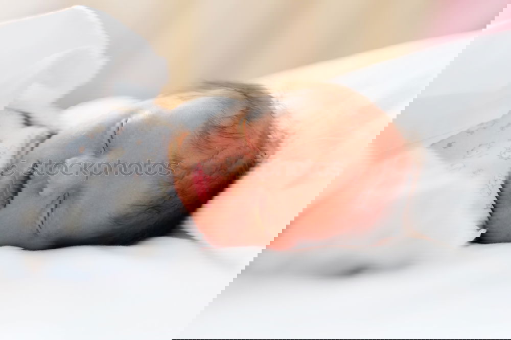 Similar – Image, Stock Photo Newborn baby girl sleeping on blue sheets at home
