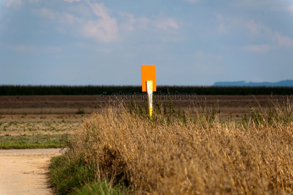 Similar – Nature Landscape Meadow