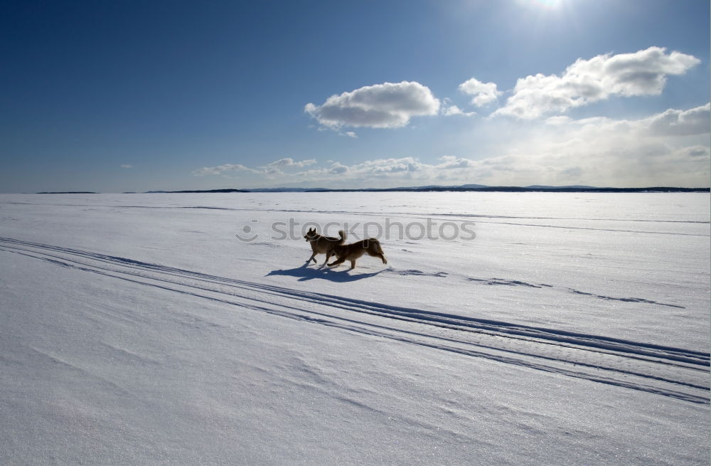 Similar – Image, Stock Photo OLD WINTER PICTURE