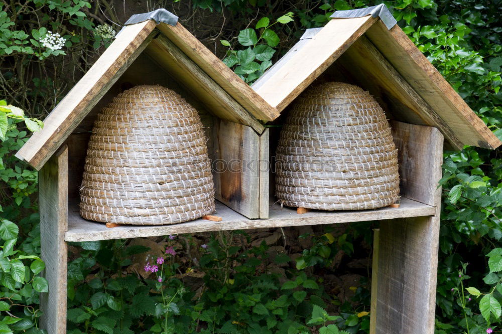 Similar – Homemade birdhouse for the winter made of old grey wood at the edge of the forest on a farm in Rudersau near Rottenbuch in the district of Weilheim-Schongau in Upper Bavaria