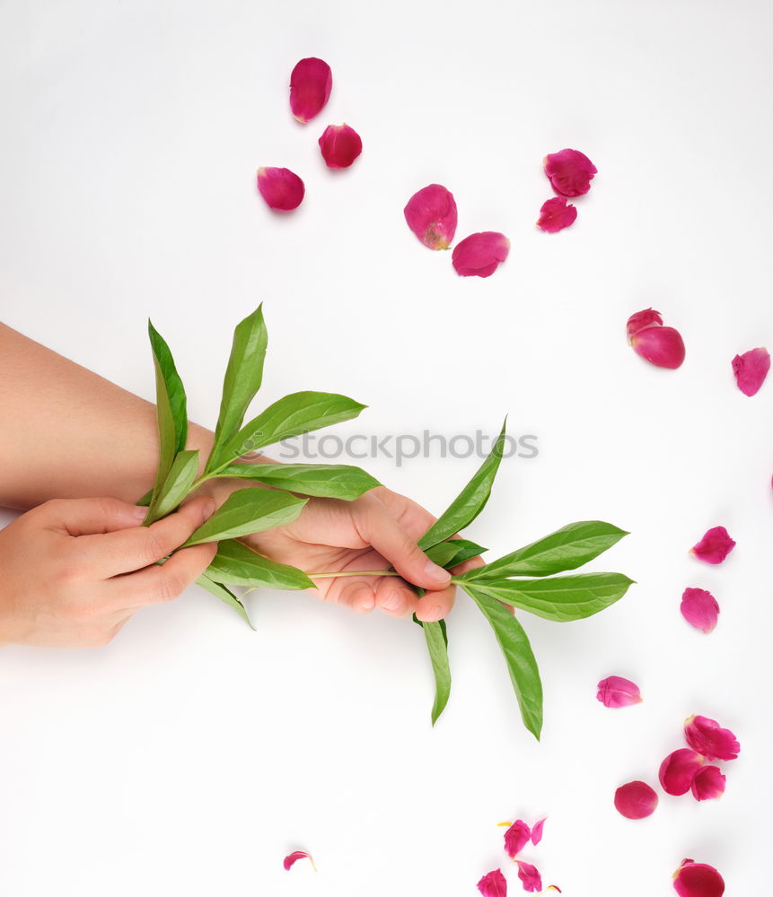 Similar – Image, Stock Photo milk bath shooting