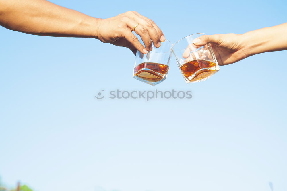 Similar – Image, Stock Photo Female friends cheers clinking bottles of beer.