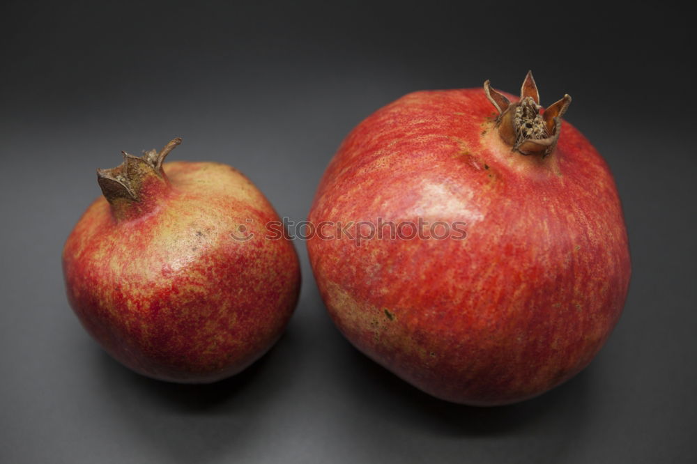 Similar – Image, Stock Photo unsprayed organic apple harvest