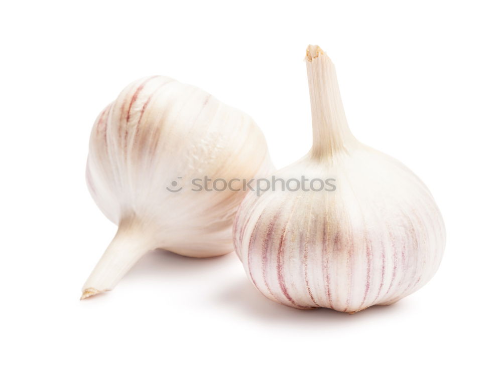 Similar – Allium sativum Food Garlic