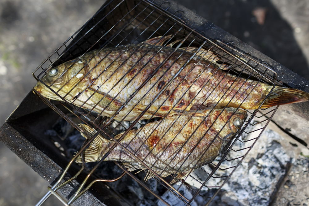 Similar – Image, Stock Photo F(r)isch on the grill Meat