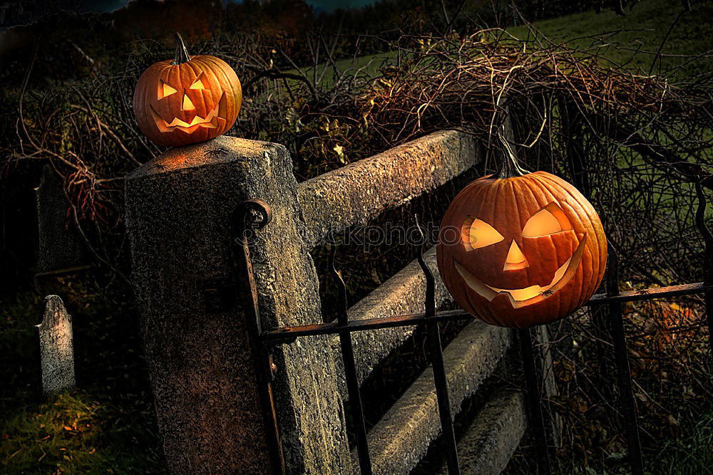 Similar – Image, Stock Photo Happy Halloween Hallowe’en