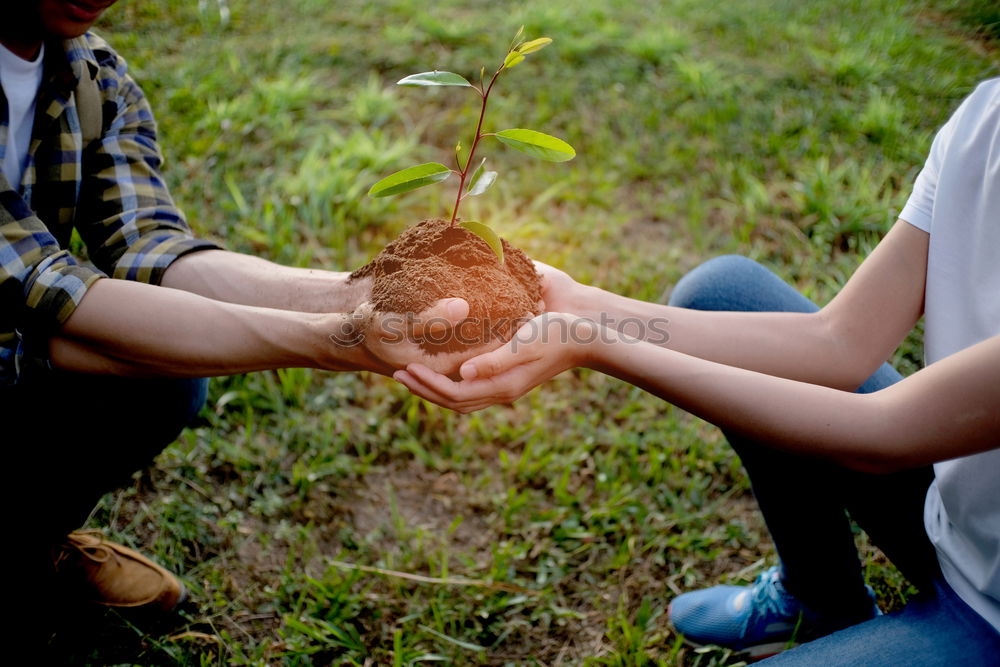 Similar – Image, Stock Photo Child touching soil in mothers hand