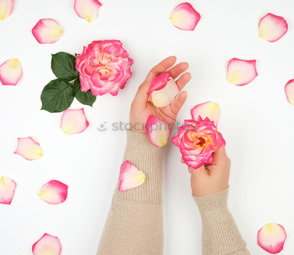 Similar – Image, Stock Photo female hands and small white flowers