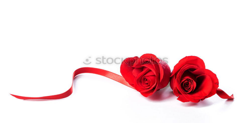 Similar – Image, Stock Photo pssssst… Red White