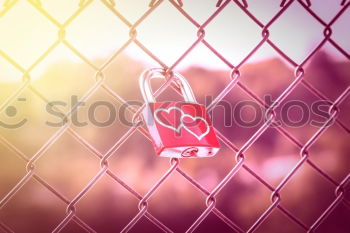 Similar – Image, Stock Photo rotesschlossmitherzang lattice wall